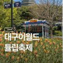 동승농장 | 대구 이월드 튤립축제 자유이용권 할인정보 아이 놀이기구 추천 아이와 함께 갈만한 곳