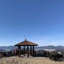 응골농장 이미지