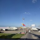 1819 | 대만 여행 타오위안공항 입국심사 시간 공항버스 1819번 후기