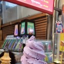 속초 애견펜션 양양 해피 플레이스 이미지