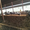 일출목장 이미지