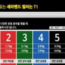 세라헬스 이미지