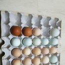 간현농장 이미지