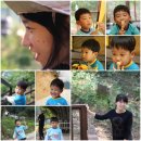 금동산야 이미지