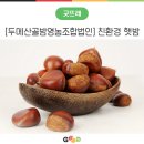두메산골영농조합법인 이미지