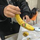 햄스터다 질문 받는다