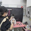 버들동물병원 네이버블로그