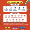 엘에이양분식 | 2024 PEAK FESTIVAL 피크페스티벌 1일차 후기 (크라잉넛, 로맨틱펀치 그리고 필수 준비물까지)