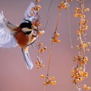 에이치티앤씨(주) 이미지