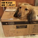 에이펫(A-PET) 이미지