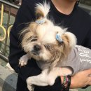 선학파출소 이미지