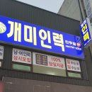 개미인력공사