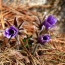 문산1리 이미지