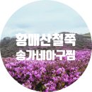 송가네아구찜 이미지