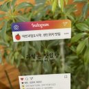 과일은 맛있당