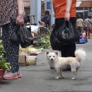 와수전통시장 이미지