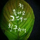 행운 - 기장군 월전1길 35 | 행운