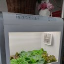 엄마손밥집 이미지