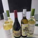 하이오커피순천