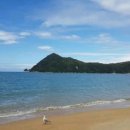 도마태평양약국 이미지