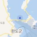 완도20호 이미지