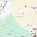 황후 캣 | 도쿄 여행 메이지 신궁과 요요기 공원 가는 방법