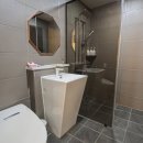 낭만애견 이미지