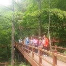 예천군장애인이동지원센터 이미지