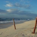 나홀로 진짜 여행 이미지