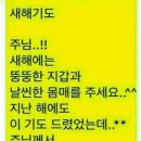 여우길 이미지