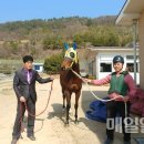 아라목장 이미지