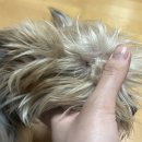 내안에병원 이미지