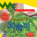 윤독 이미지