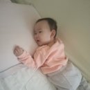 세담방 이미지