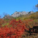 [진경수의 자연에서 배우는 삶의 여행] 아름다운 단풍이 일품인 내장산 국립공원, 서래봉과 불출봉 이미지