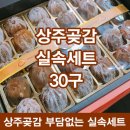 몽땅365