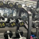 덤덤 휘트니스 이미지