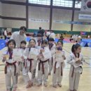 로뎀태권도 이미지