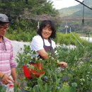 김태운 농장 이미지