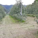 복수농장 이미지