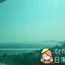 하얀날개펜션