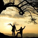 사랑나무 이미지