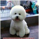 뭉치쌀롱 이미지