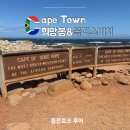 바다호프 | [케이프타운 여행] 홉온호프 희망봉/볼더스비치 투어 정보 및 후기