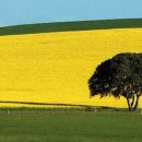 스킨모아 이미지