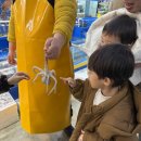 가락시장 가락몰 나래수산 방어회 모둠 포장 후기 주차가능