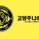 ⚽️고양주니어FC 선수모집⚽️ 진학현황! 이미지