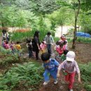 추곡초병설유치원 이미지