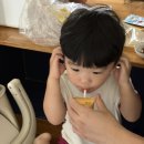 채도목장 | 🌴 제주도 4-1일차(산양큰엉곶, 토끼밥주기, 저지면옥, 웨스트그라운드)