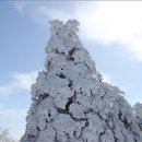 제주의 추억 이미지